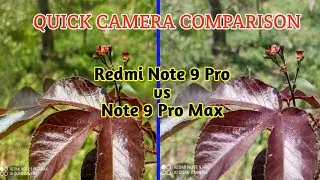 Redmi Note 9 pro vs Note 9 pro Max camera test | Redmi Note 9 pro Man camera review