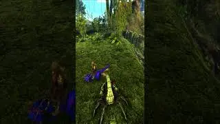 Max Scorpion VS pachycephalosaurus 