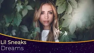Lil Sneaks - Dreams (lyrics) | با ترجمه فارسی