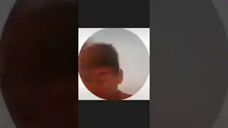 zapal. salim aka ko't bub utiribiz