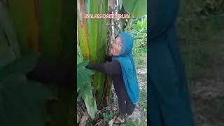 nih emak guaa #shorts #komedi #viral #ngakak #sekilaskomedi