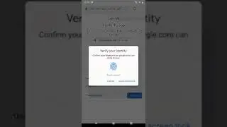 FIDO2-based local user verification for Google Accounts