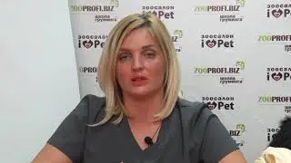 Мастер-класс «Гигиена полости пасти. Ультразвуковая чистка зубов у собак».