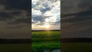 18 августа 2024 г.