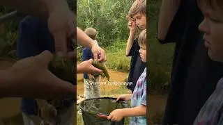 #многодетнаясемья #детскийпоход