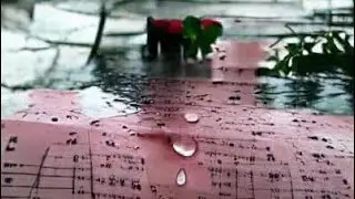 Rain Sounds and Piano Music for Sleeping, Studying or Relaxing | 3 Hours