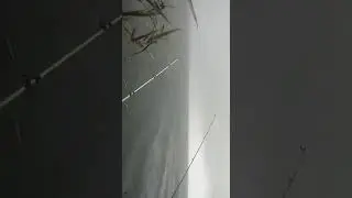 Рыбалка на тарань/ 1 ноября 2020