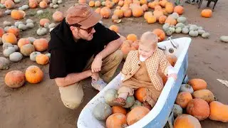 48 Hours in Paris & Pumpkin Picking