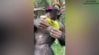 Достойный Отдых После Тяжелого Трудового Дня