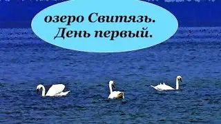 Наш отпуск на озере Свитязь. Первый день. Отдых, відпочинок. Погулка по селу и базам отдыха.