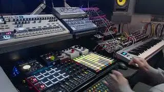 Warminstrel   Dust (Live)