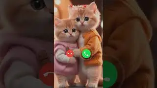 Mi telephone ringtone 