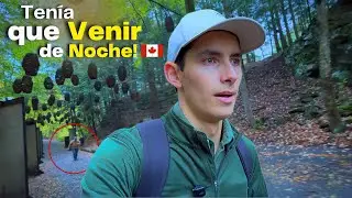A dream brought me to this forest... and what I found was AMAZING! 😳