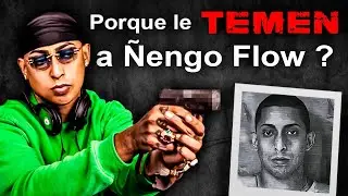 Porque le TEMEN a Ñengo Flow ?