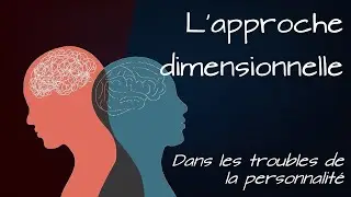 🧠 L 'Approche dimensionnelle