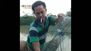 jaring ikan || Gak perlu waktu lama langsung dapt banyak