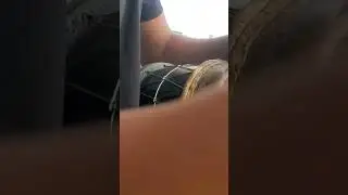 Tambol