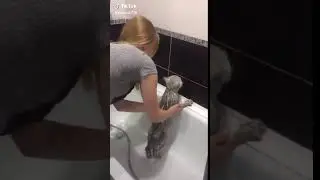 Тебе нормально? НОРМАЛЬНО!