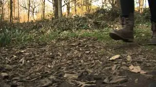 Forge Dam stalker task
