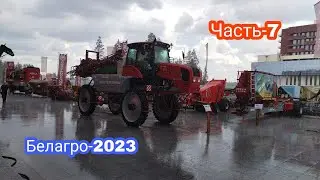 Выставка 