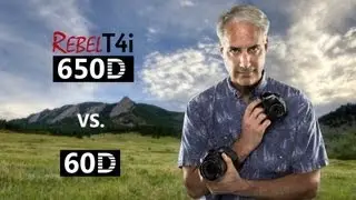 Canon T4i/650D vs 60D Which One To Buy?