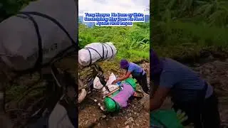 Sayang Ang Pera Ng Bayan