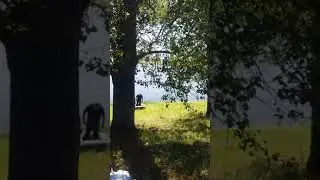 Караульнояр 20.07.2018