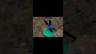 Blue the Beauty Pt 02 | #shortsvideo | #shorts | #wildlife | #insects