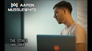 Lauv - The Other (Aaron Musslewhite cover & remake)
