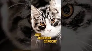 Коты и кошки 2.0 #shorts  #cat #funny #юмор