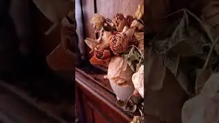 Roses and Buongiorno Rastellino Font Cyrillic #шрифт #short #shortvideo #Shorts #cozy #autumn #font