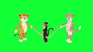 Monkey and Tiger playing green screen animation background video 