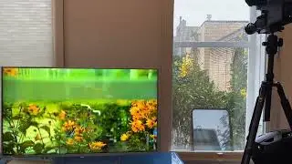 SONY HVC 3000P & HVS-2000P, first test