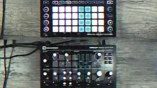 Circuit Mono Station: Synthesized 