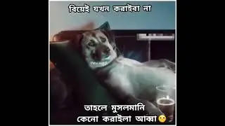 funny  video 2023