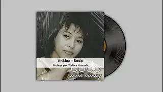 Ankino - Bodo ✅