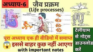 जैव प्रक्रम || Life processes class 10 science biology || jaiv prakram class 10th ||