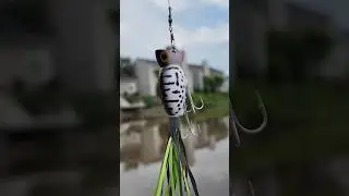 Arbogast Hula Popper is a Cheat Code for Nice Bass!