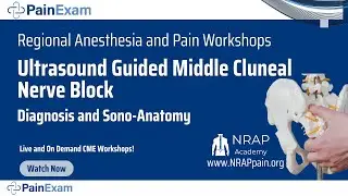 Ultrasound Guided Middle Cluneal Nerve Block and Diagnosis. David Rosenblum, MD- NRAP PainExam
