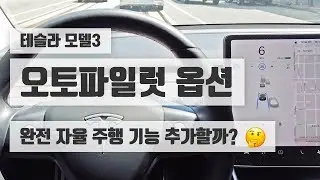 ///테슬라 모델3/// 오토파일럿 770만원짜리 완전 자율 주행 옵션 추가해야 할까요??