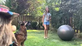 Balls Down 