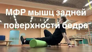 МФР мышц задней поверхности бедра