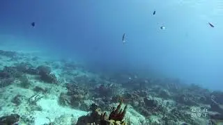Yucab 5 of 7
