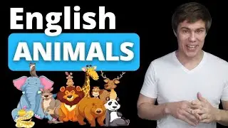 English Questions and Answers about Animals #learnenglish