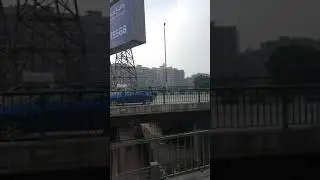Каир. Египет.