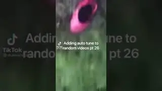 Auto tune “I’ve been stung by a wasp” 10 minute loop.