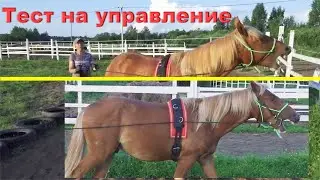 Тест мягких и традиционных средств управления лошади. О важности точности средств управления.