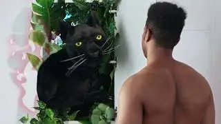 Old Spice - будь собой, бой!