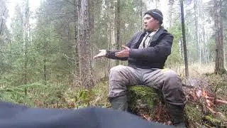 Охота на зайца с гончей.