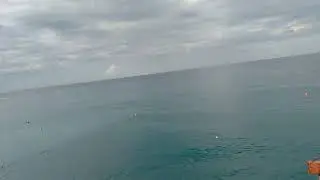 Ольгинка сегодня 31.07.2024